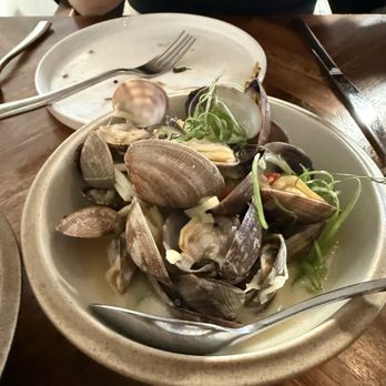 Musang Seattle - Clams - Filipino Near Me - Seattle, Washington Musang Seattle - Clams - Filipino Near Me - Seattle, Washington