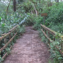 Moalepe Trail