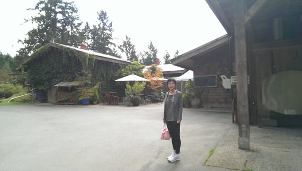 Salt Spring Island Cheese by null