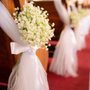Photo of Beauty Flowers
