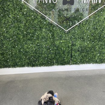 Paws At Main - Pet Groomers Near Me - Corona, California Paws At Main - Pet Groomers Near Me - Corona, California