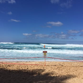 Ehukai Beach Park - 1/4/16 Beware of dangerous shorebreak and strong currents - Parks Near Me - Haleiwa, Hawaii Ehukai Beach Park - 1/4/16 Beware of dangerous shorebreak and strong currents - Parks Near Me - Haleiwa, Hawaii