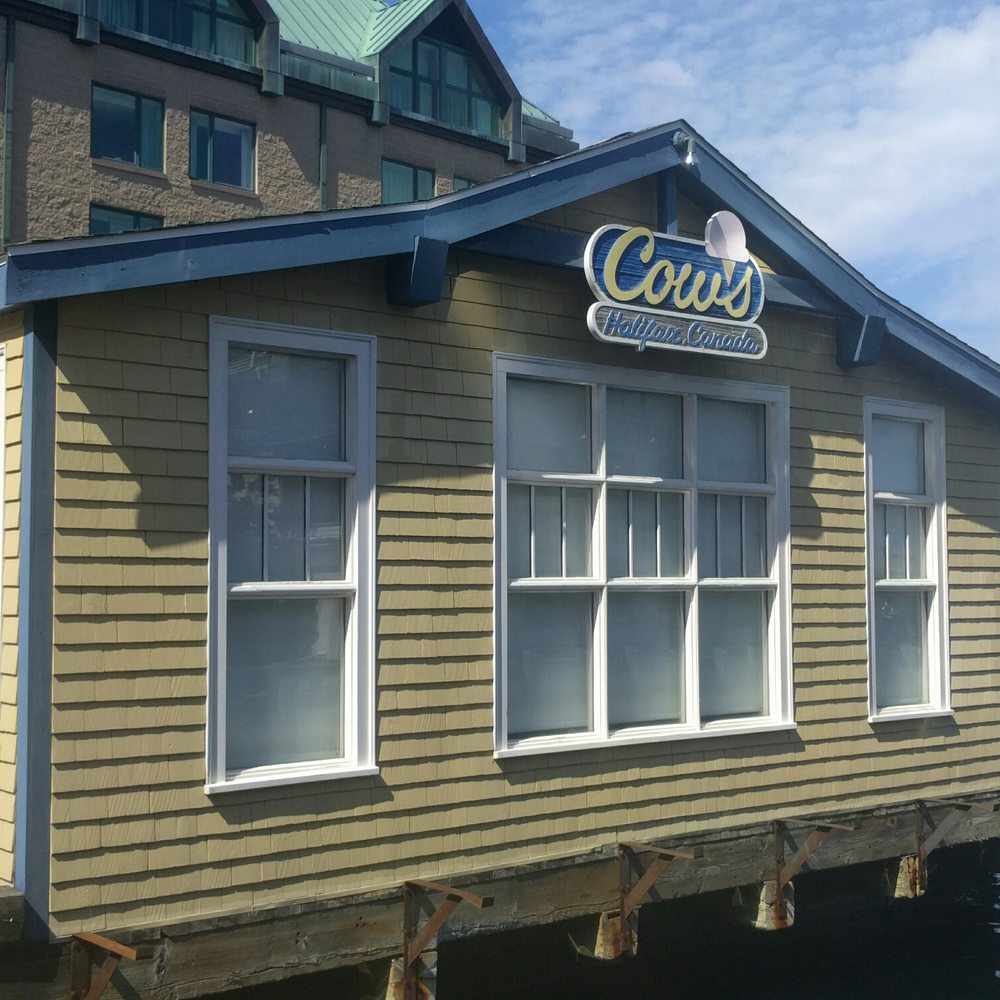 Cows - View from the dock - Ice Cream & Frozen Yogurt Near Me - Halifax, Nova Scotia