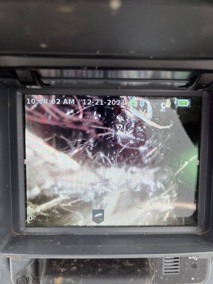 Slide of Busy Bee Drain