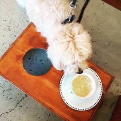 Maggie's Dog Cafe, Shop & Salon