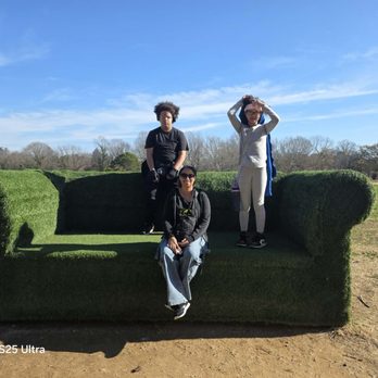 Dorothea Dix Park - Grass couch (artificial grass) - Parks Near Me - Raleigh, North Carolina
