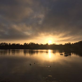 Michelle Halpern, Pro Dog Walker - Michelle pro dog walker Almaden Lake Park - Dog Walkers Near Me Michelle Halpern, Pro Dog Walker - Michelle pro dog walker Almaden Lake Park - Dog Walkers Near Me