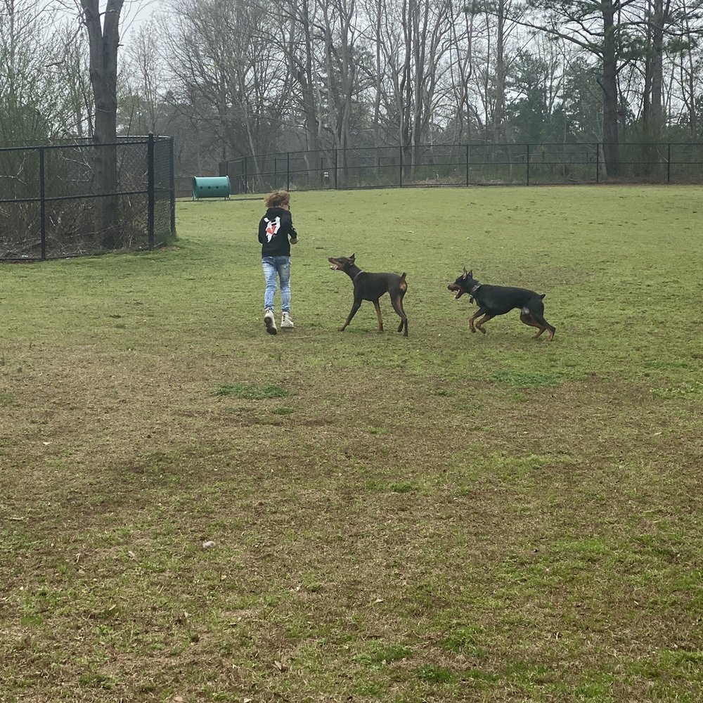 McDaniel Farm Park - Enjoying the dog park. Best time to go is morning when you can practically have the whole park to yourself - Parks Near Me - Duluth, Georgia McDaniel Farm Park - Enjoying the dog park. Best time to go is morning when you can practically have the whole park to yourself - Parks Near Me - Duluth, Georgia