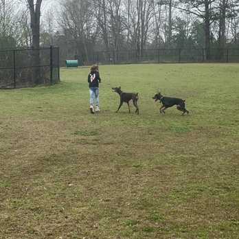 McDaniel Farm Park - Enjoying the dog park. Best time to go is morning when you can practically have the whole park to yourself - Parks Near Me - Duluth, Georgia