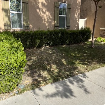 Rocha Landscaping - Before - grass removal, and shrub removal - Tree Services Near Me - Chino, California Rocha Landscaping - Before - grass removal, and shrub removal - Tree Services Near Me - Chino, California
