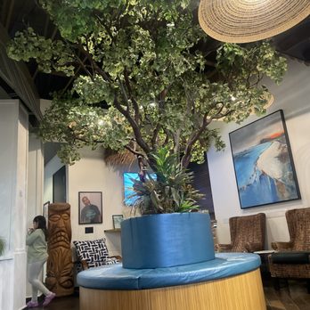 Robison Orthodontics - Cool waiting room - Orthodontists Near Me - Gilbert, Arizona