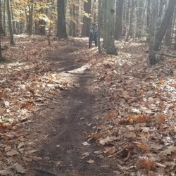 Stratham Hill Park - Trail in autumn