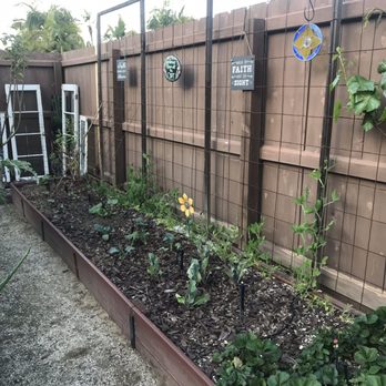 Orange County Farm Supply - Planted cucumbers, 2 kinds of squash, broccoli & cauliflower all from OC Farm Supply. - Nurseries & Gardening Near Me - Orange, California Orange County Farm Supply - Planted cucumbers, 2 kinds of squash, broccoli & cauliflower all from OC Farm Supply. - Nurseries & Gardening Near Me - Orange, California