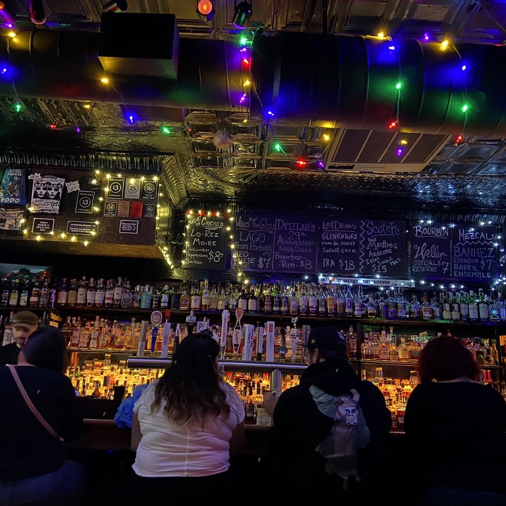 people sitting at the bar