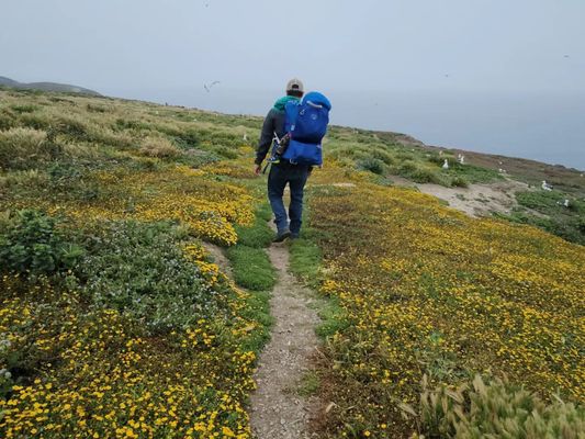 Anacapa Island by null