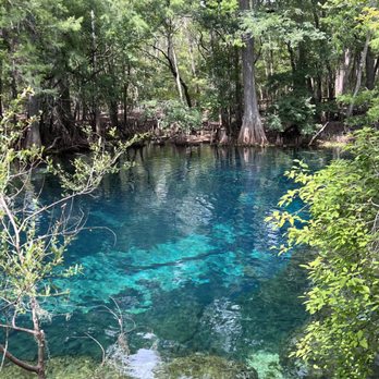 Manatee Springs State Park - Parks Near Me - Chiefland, Florida
