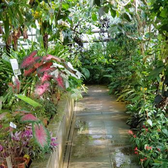 Botanischer Garten Potsdam - Gewächshaus - Museums Near Me - Potsdam, BB