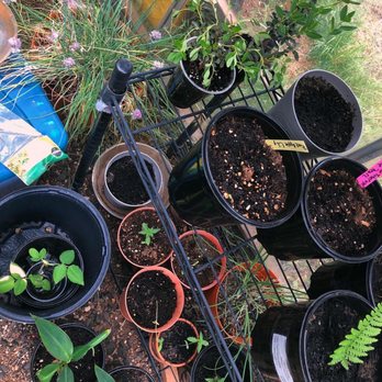 Paradise Garden Supply - Nurseries & Gardening Near Me - Paradise , California Paradise Garden Supply - Nurseries & Gardening Near Me - Paradise , California