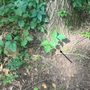 Photo of Fort Custer State Recreation Area