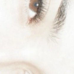 Elegant Spa - Tammy's appointment lash extensions ( 3D / natural / same length )