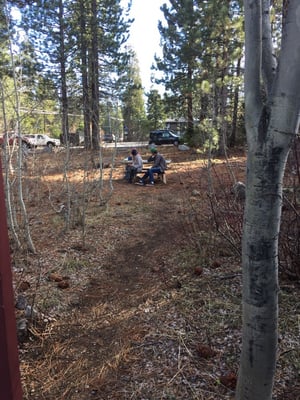 New Moon Natural Foods by null