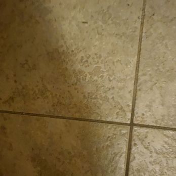 Quality Inn & Suites - Dirt on floor - Hotels Near Me - Statesboro, Georgia Quality Inn & Suites - Dirt on floor - Hotels Near Me - Statesboro, Georgia