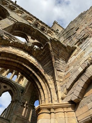 Jedburgh Abbey by null