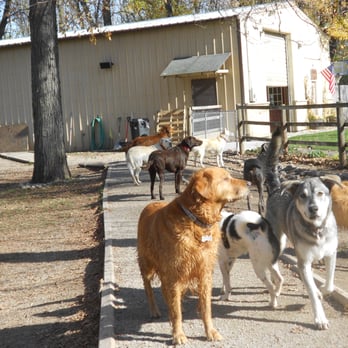 Rover's Resort - Pet Sitting Near Me - Menasha, Wisconsin Rover's Resort - Pet Sitting Near Me - Menasha, Wisconsin