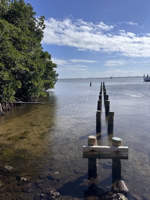 The Barnacle Historic State Park by null