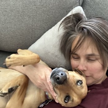 Adopt A Doggie - Playtime - Pet Adoption Near Me Adopt A Doggie - Playtime - Pet Adoption Near Me