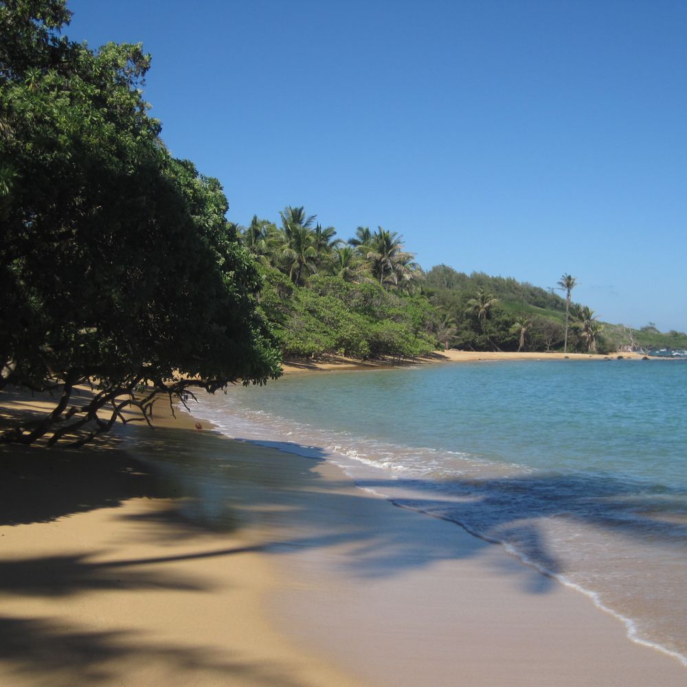 Aliomanu Beach - Beaches Near Me - Anahola, Hawaii Aliomanu Beach - Beaches Near Me - Anahola, Hawaii