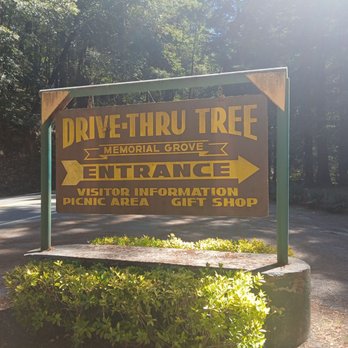 Drive-Thru Tree - Parks Near Me - Leggett, California