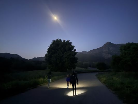 Malibu Creek State Park by null