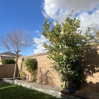 Oscar Landscaping - Yard clean up - Landscaping Near Me Oscar Landscaping - Yard clean up - Landscaping Near Me