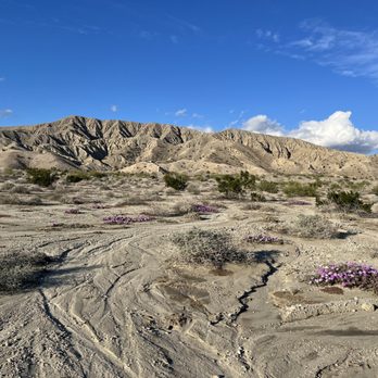 Covered Wagon Tours - Tours Near Me - Thousand Palms, California Covered Wagon Tours - Tours Near Me - Thousand Palms, California