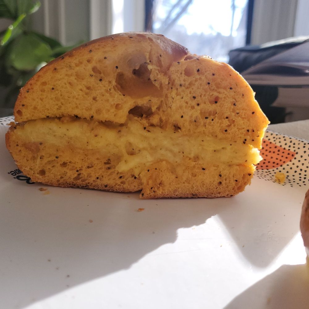Bagel Boy - Egg Bagel (with poppy seeds scattered in the dough for artistic flare) with scrambled eggs - Bagels Near Me - Brooklyn, New York Bagel Boy - Egg Bagel (with poppy seeds scattered in the dough for artistic flare) with scrambled eggs - Bagels Near Me - Brooklyn, New York