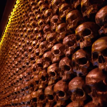 Noble Experiment - Skull wall - Cocktail Bars Near Me - San Diego, California Noble Experiment - Skull wall - Cocktail Bars Near Me - San Diego, California