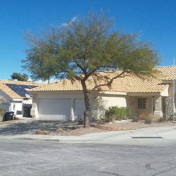 Indigo Landscape Services - Mesquite tree just after a trim - Landscaping Near Me Indigo Landscape Services - Mesquite tree just after a trim - Landscaping Near Me