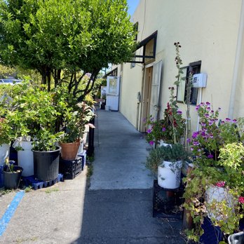 Le Paradis - Garden entrance - Vietnamese Near Me - Hayward, California Le Paradis - Garden entrance - Vietnamese Near Me - Hayward, California