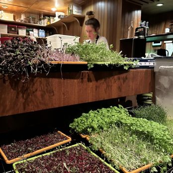 Gabbiano's - Fresh herbs for the meals - Italian Near Me - Portland, Oregon Gabbiano's - Fresh herbs for the meals - Italian Near Me - Portland, Oregon