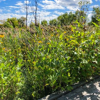 The Riverwood Conservancy - Parks Near Me - Mississauga, Ontario The Riverwood Conservancy - Parks Near Me - Mississauga, Ontario