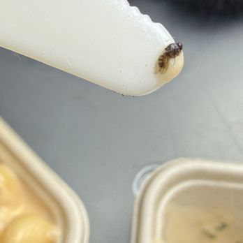 Erewhon - Mac and Cheese from hot bar - Grocery Near Me - Beverly Hills, California