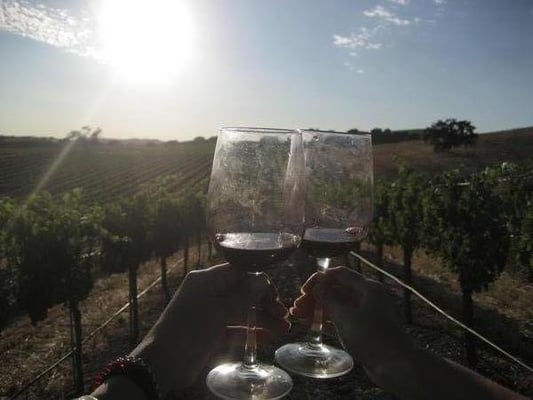 Stolpman Vineyards - Los Olivos Tasting Room by null
