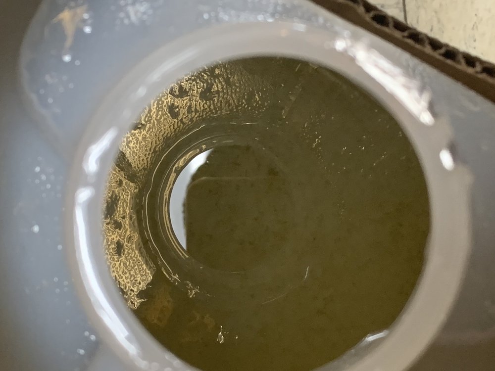 SPICELAND 13 Reviews 120 Cambridge St, Burlington, Massachusetts