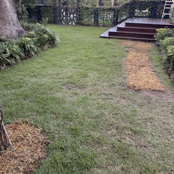 Super Sod - Charleston - Nurseries & Gardening Near Me - North Charleston, South Carolina Super Sod - Charleston - Nurseries & Gardening Near Me - North Charleston, South Carolina