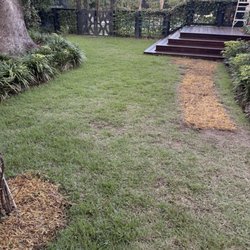 Super Sod - Charleston
