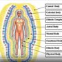 Photo of Energy Anatomy