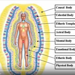 Energy Anatomy