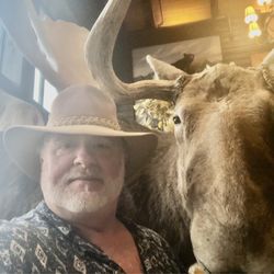 Cabela's - Bulls