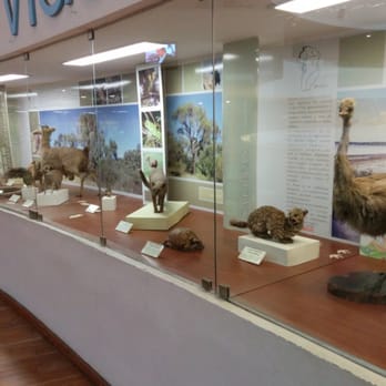 Museo de Ciencias Naturales - Taxidermy exhibit. - Museums Near Me - Córdoba, X